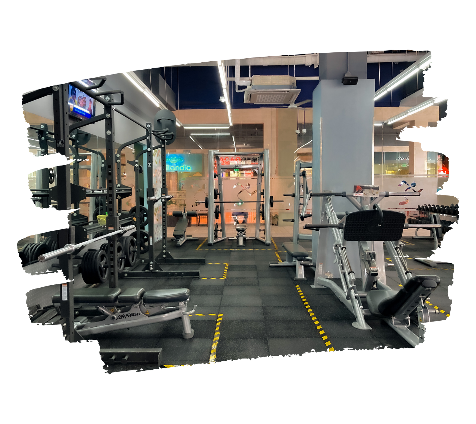 Bulk SMS for Gyms & Fitness